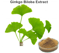 Water Soluble Ginkgo Biloba Extract